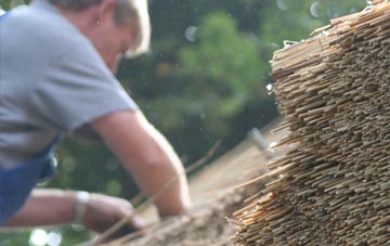 professional Shires Mill thatchers